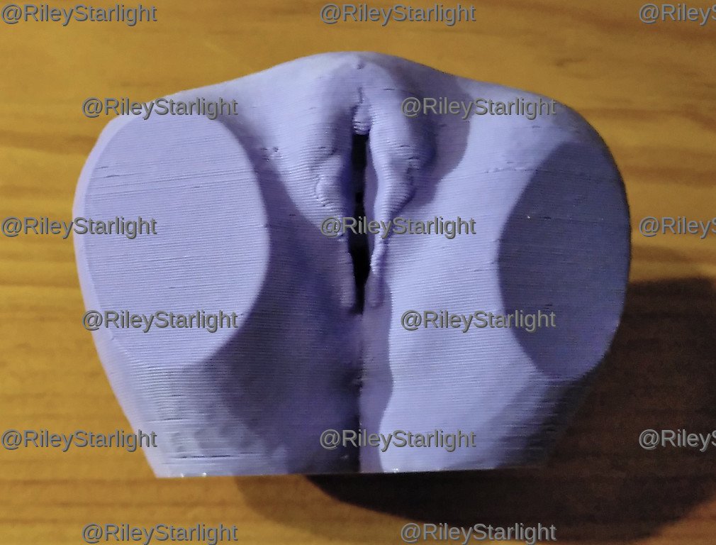 Impresión 3D de un modelo de vulva. Modelo «External Sex Organs» realizado por Amy Stenzel (CC BY).